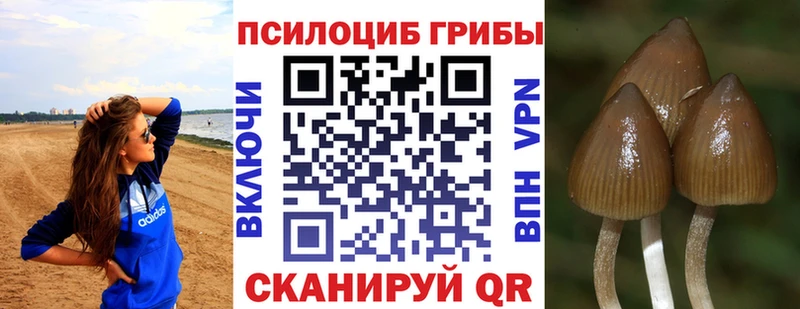 Псилоцибиновые грибы мицелий Апатиты